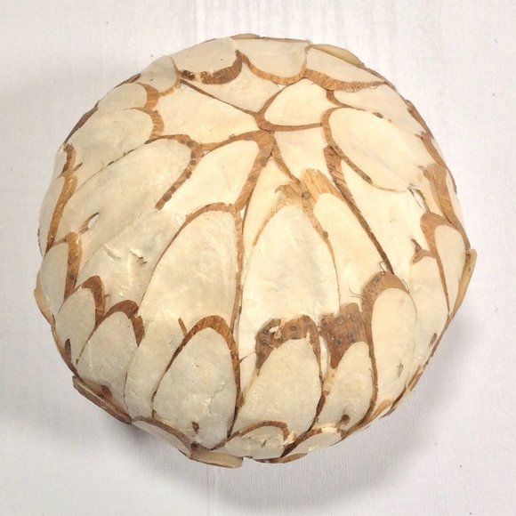 Natural Decorative Spheres - 10 Pieces - Picture 5 of 12